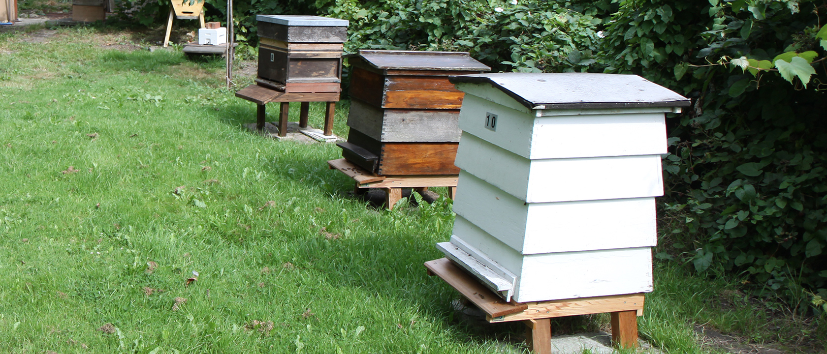 Bromley Branch Apiary