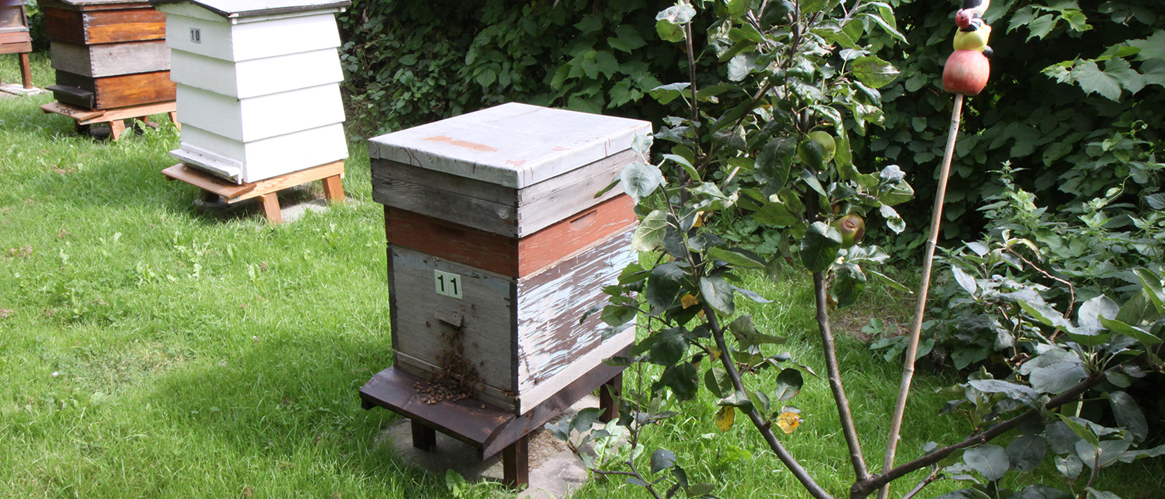 Bromley Branch Apiary