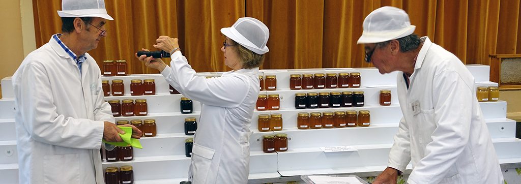 Honey Judging