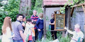 Visitors to the observation hive