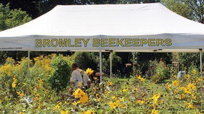 Bromley Beekeepers Marquee