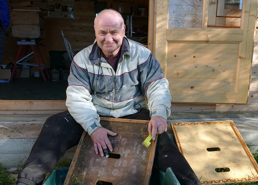 Neil collecting propolis for making their own alcohol free Propolis Tincture.