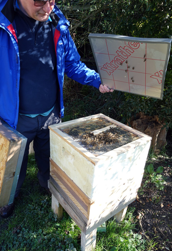 Mick believes in top insulation with glass crown boards for quick inspection of cluster.