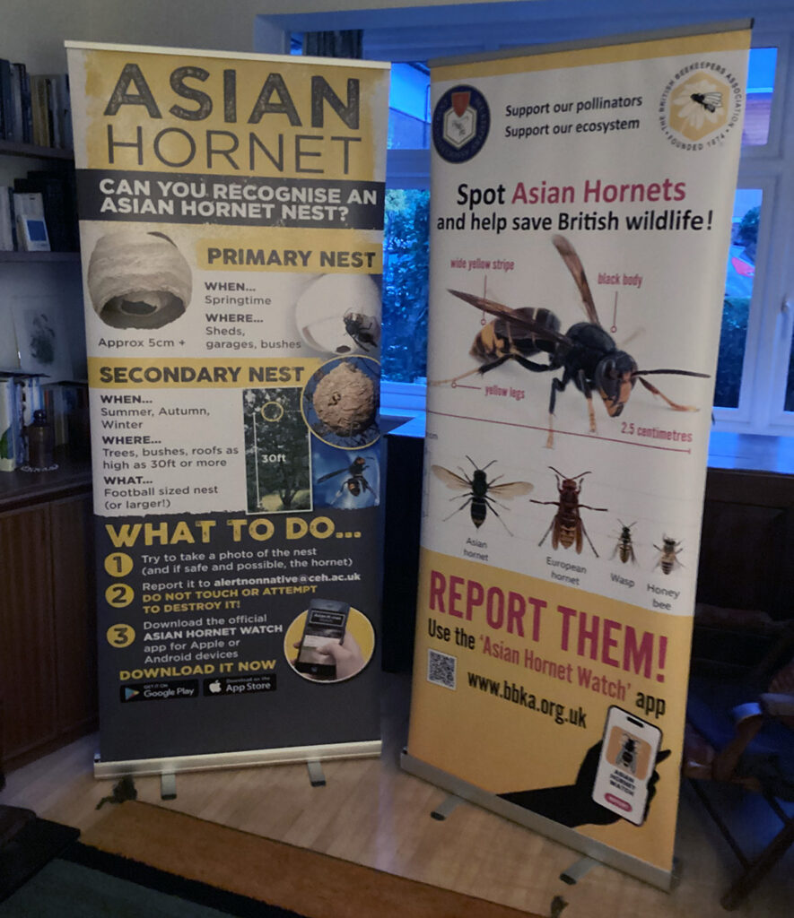 Asian Horner Banners